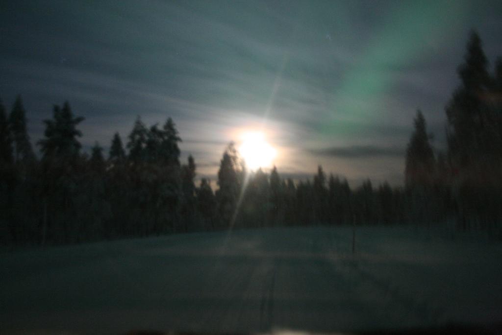 Auroracabin Chalets Saariselkä Extérieur photo