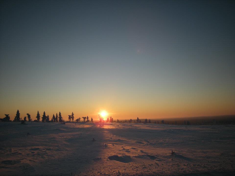 Auroracabin Chalets Saariselkä Extérieur photo
