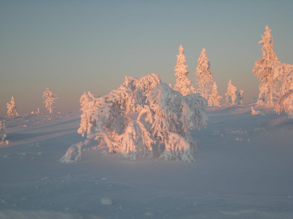 Auroracabin Chalets Saariselkä Extérieur photo