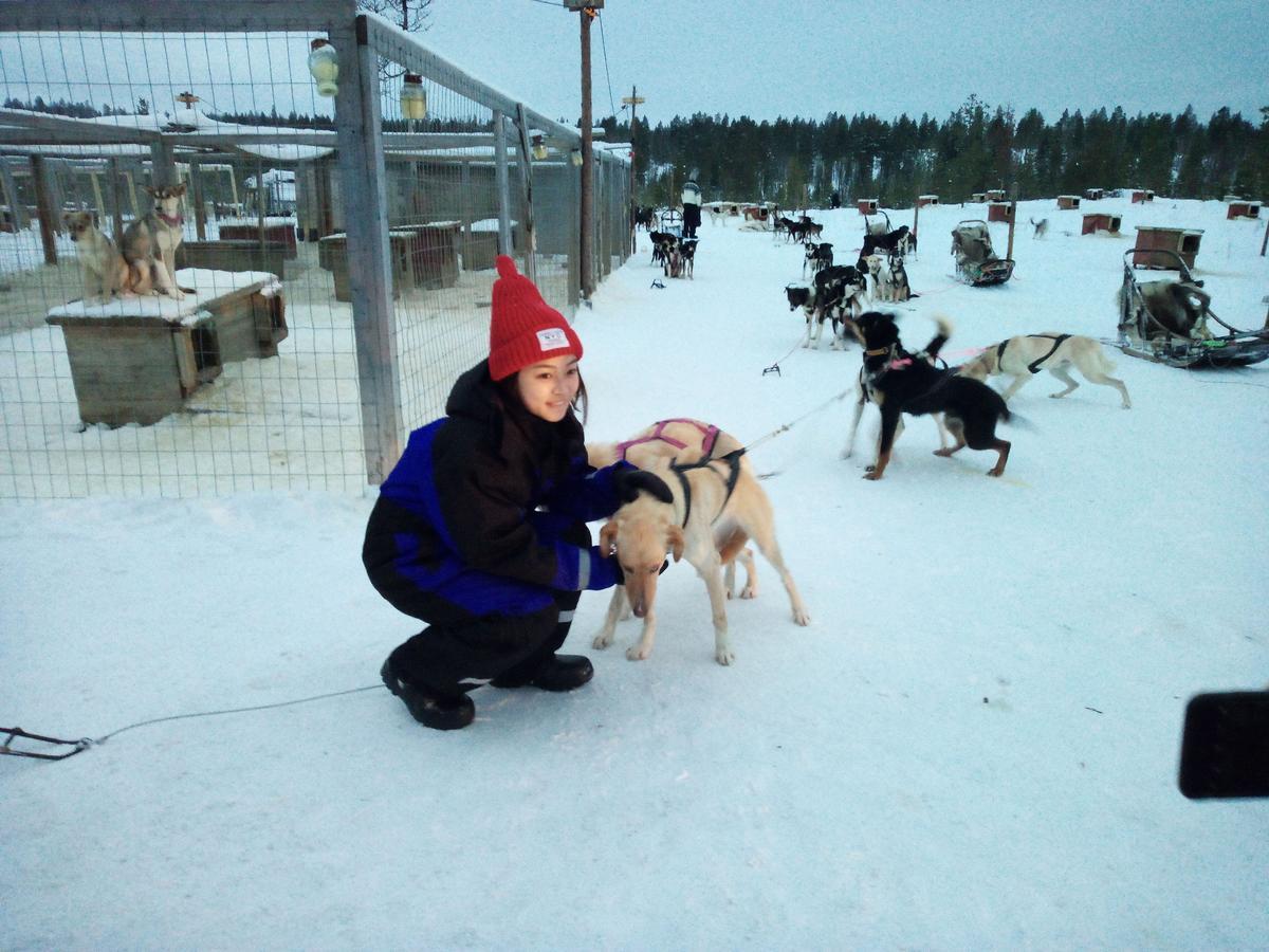 Auroracabin Chalets Saariselkä Extérieur photo