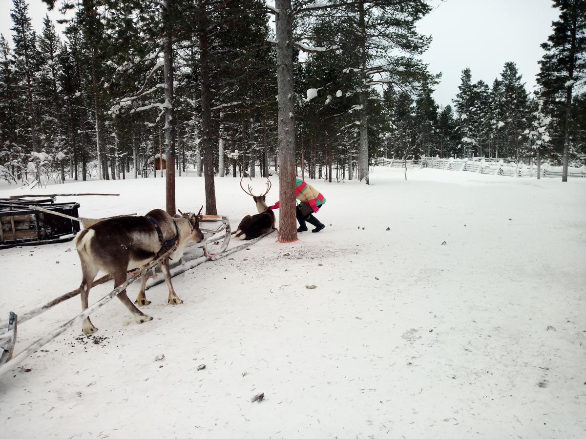 Auroracabin Chalets Saariselkä Extérieur photo
