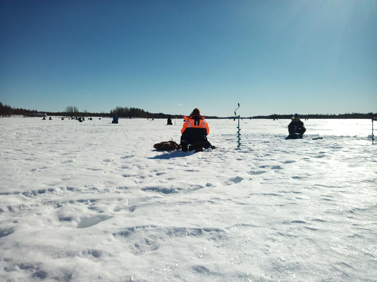 Auroracabin Chalets Saariselkä Extérieur photo